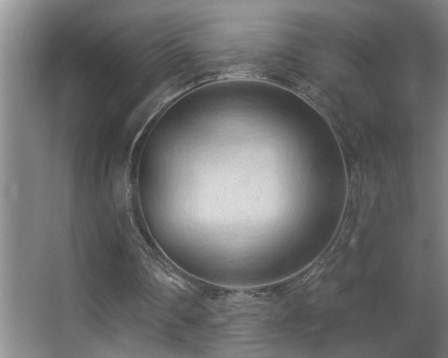 X0000062890290200601131341