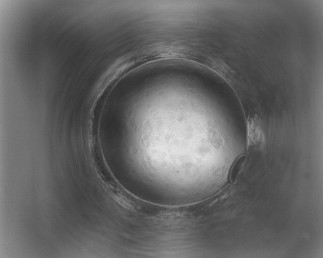 X0000062890291200601131341