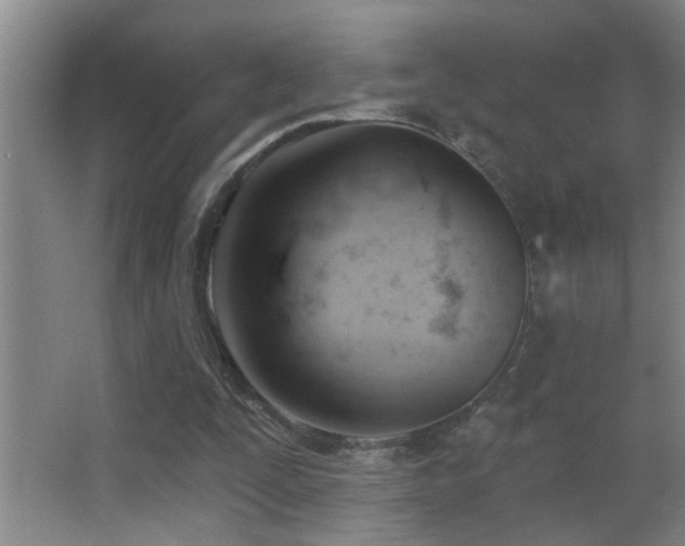 X0000062890295200601131341