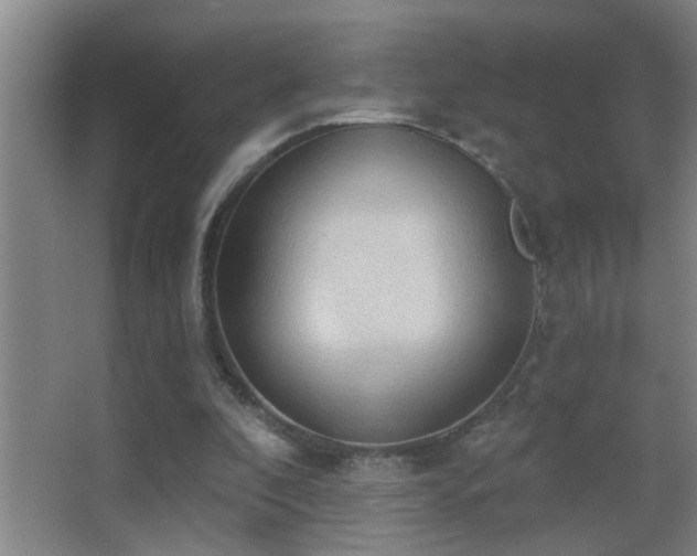 X0000062890296200601131341