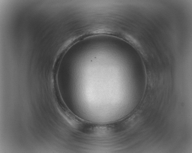 X0000062890298200601131341