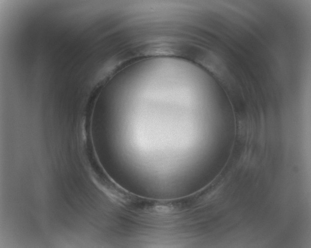 X0000062890302200601131341