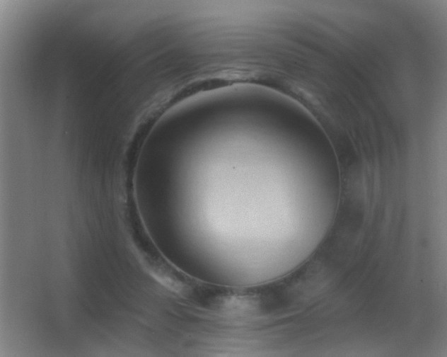 X0000062890303200601131341