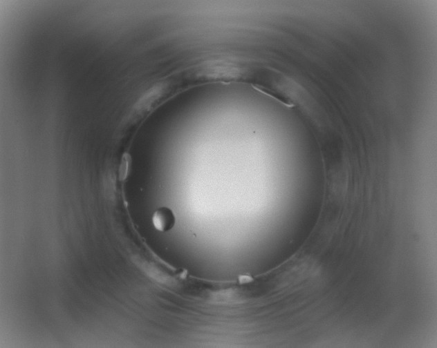 X0000062890309200601131341