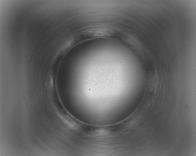 X0000062890310200601131341