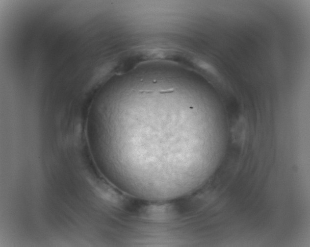 X0000062890314200601131341