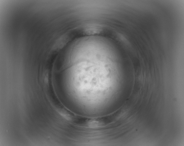 X0000062890315200601131341