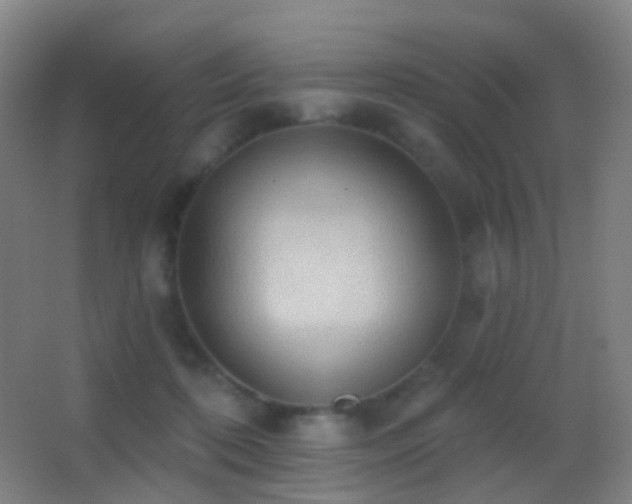 X0000062890316200601131341