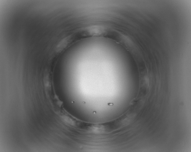 X0000062890317200601131341