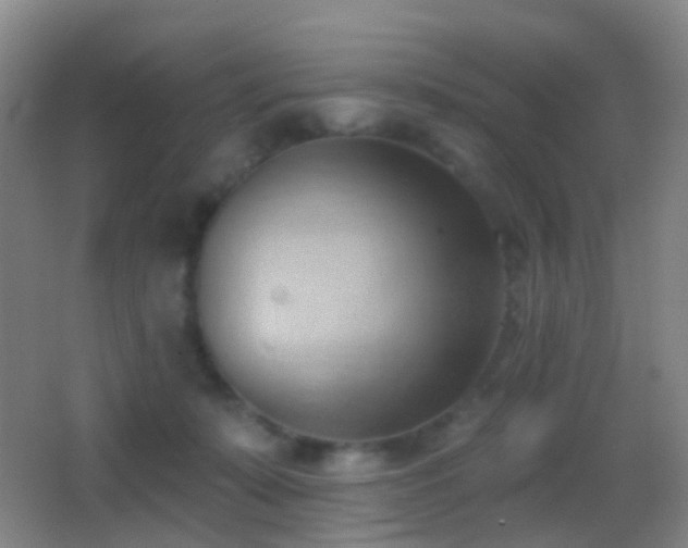 X0000062890319200601131341