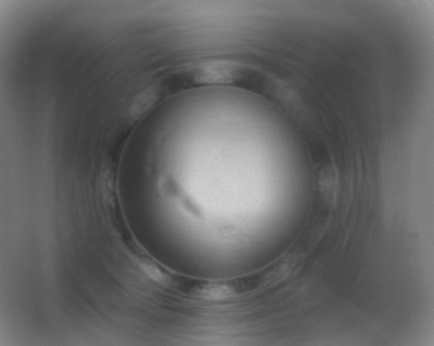 X0000062890322200601131341