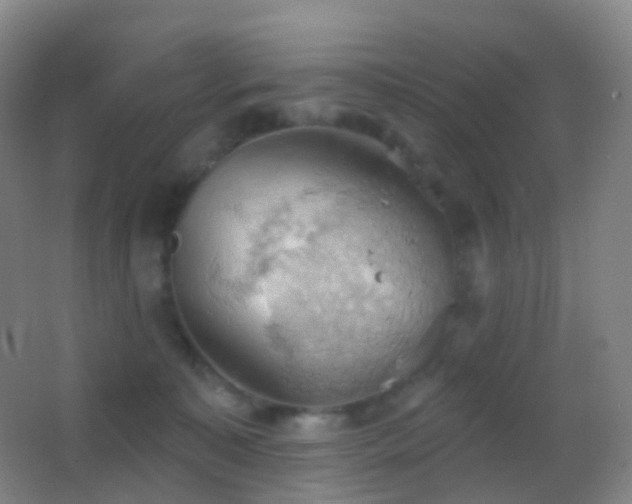 X0000062890323200601131341