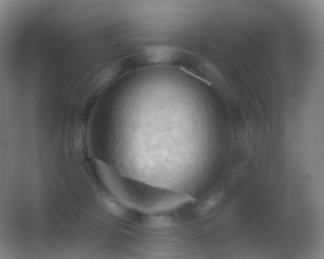 X0000062890325200601131341