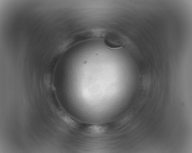 X0000062890326200601131341