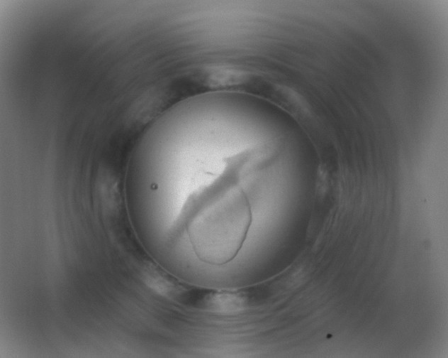 X0000062890327200601131341