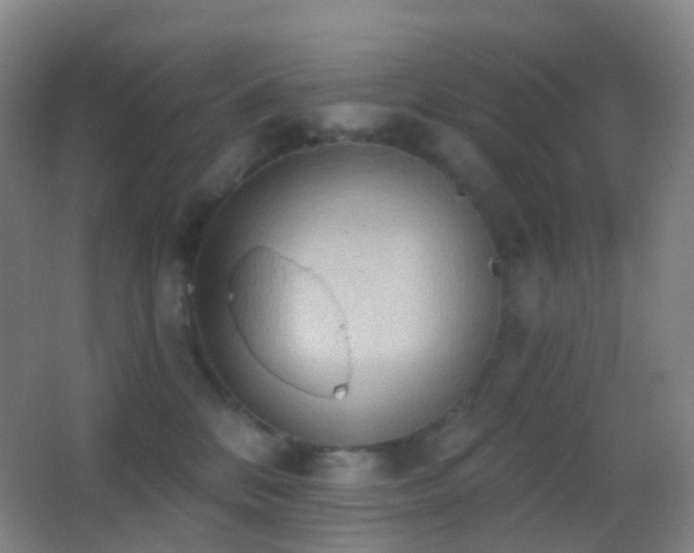 X0000062890328200601131341