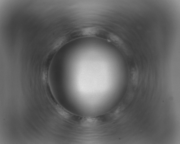 X0000062890329200601131341