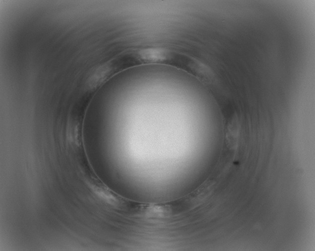 X0000062890330200601131341