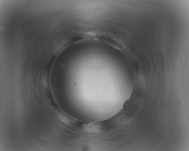 X0000062890331200601131341