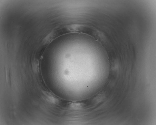 X0000062890332200601131341