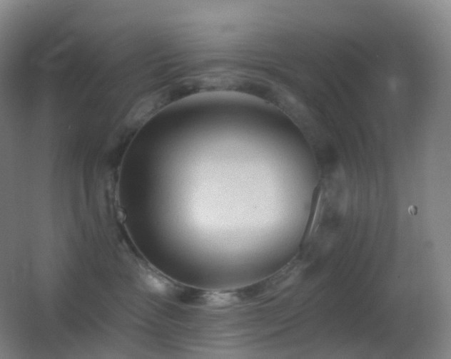 X0000062890333200601131341