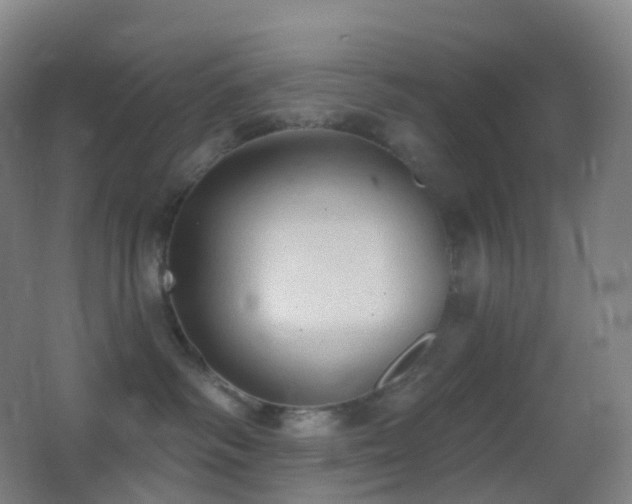 X0000062890334200601131341