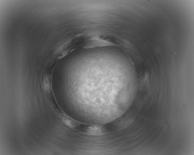 X0000062890335200601131341