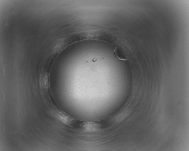 X0000062890336200601131341