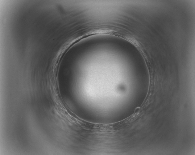 X0000062890337200601131340