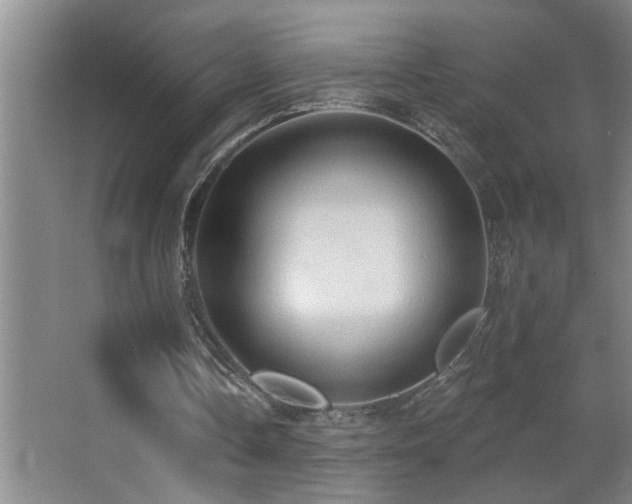 X0000062890338200601131340