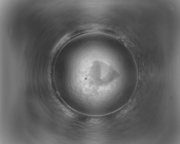 X0000062890341200601131340