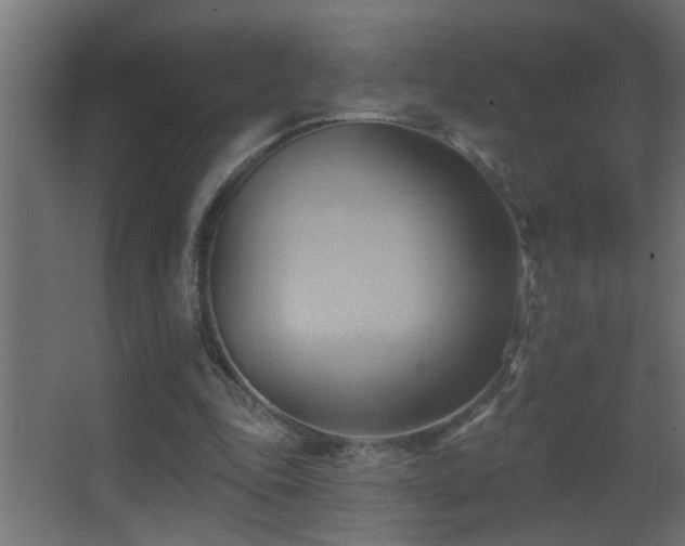 X0000062890343200601131340