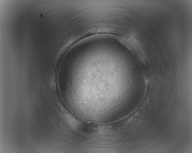 X0000062890345200601131340