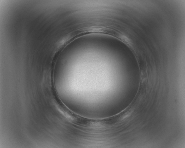 X0000062890349200601131340