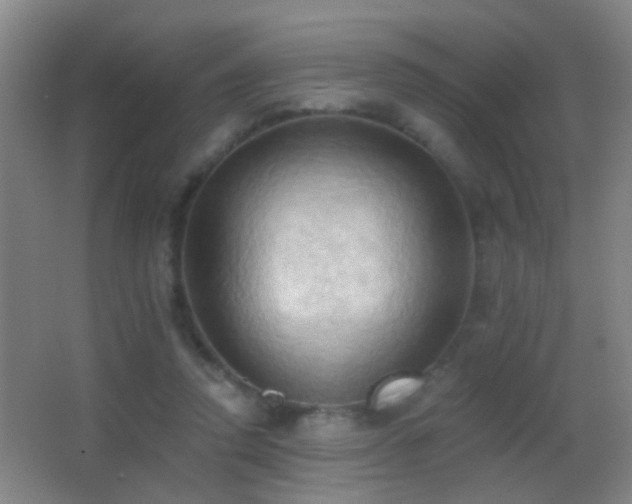 X0000062890354200601131340