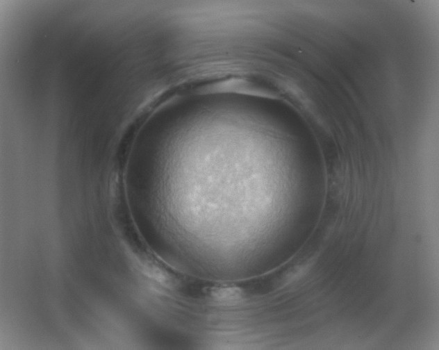 X0000062890355200601131340