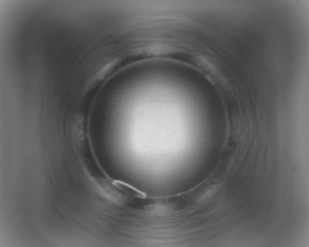 X0000062890356200601131340