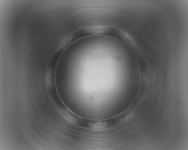 X0000062890359200601131340