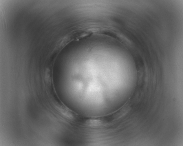 X0000062890361200601131340