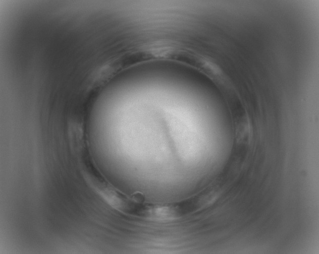 X0000062890365200601131340