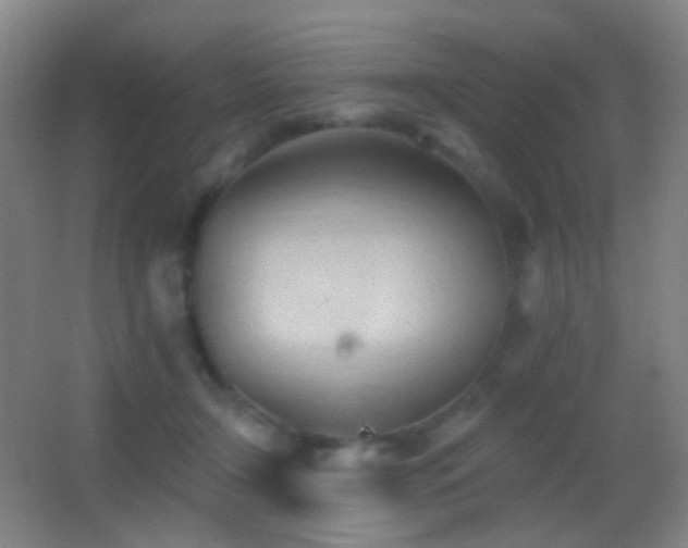 X0000062890366200601131340