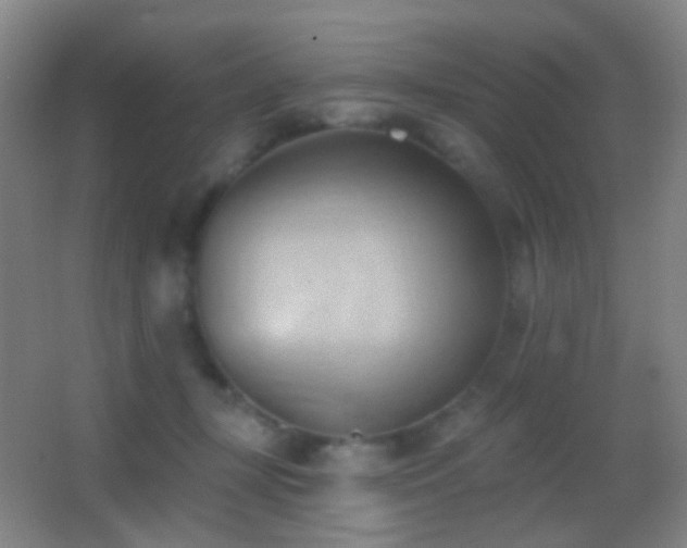 X0000062890367200601131340