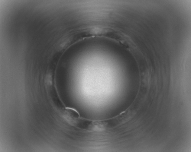 X0000062890368200601131340