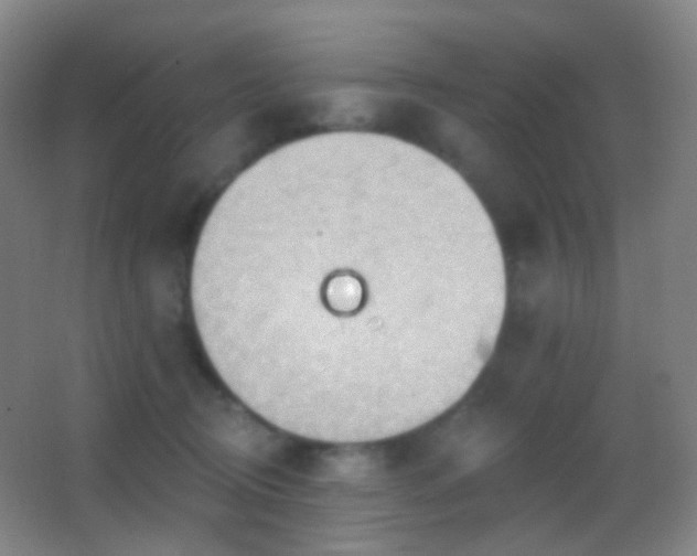 X0000062890370200601131340