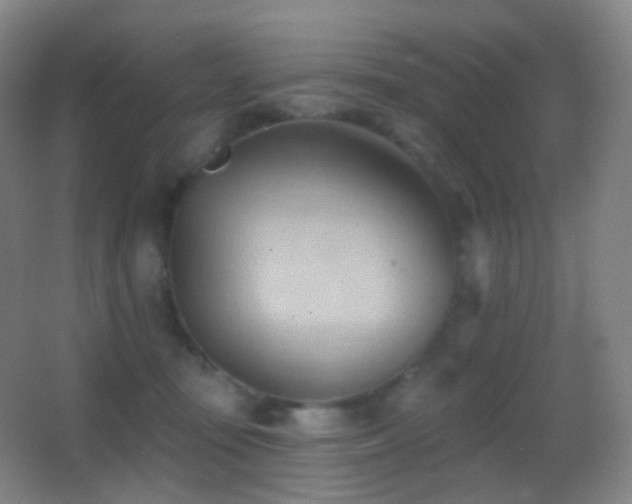 X0000062890371200601131340