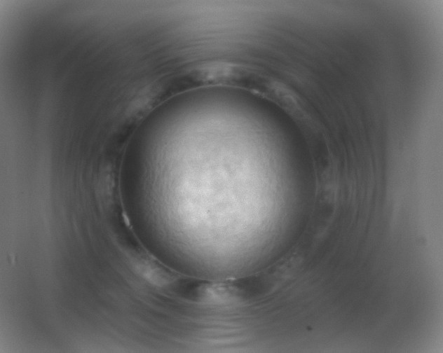 X0000062890372200601131340