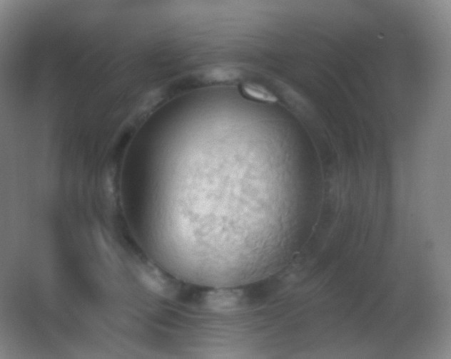 X0000062890373200601131341