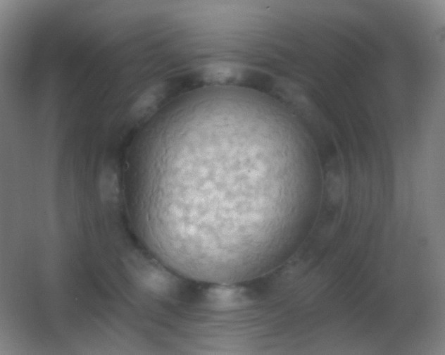 X0000062890375200601131341