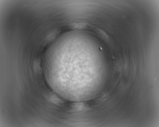 X0000062890377200601131341