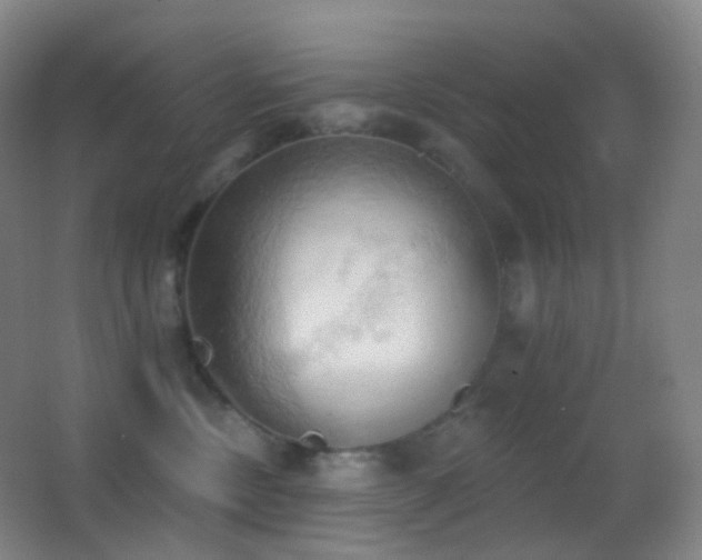 X0000062890378200601131341